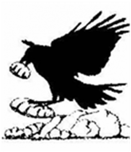 ravenlogo